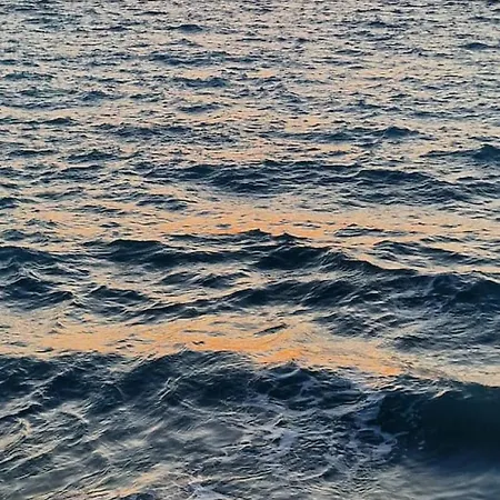 Fanes Breeze - Lemoni פאנאי